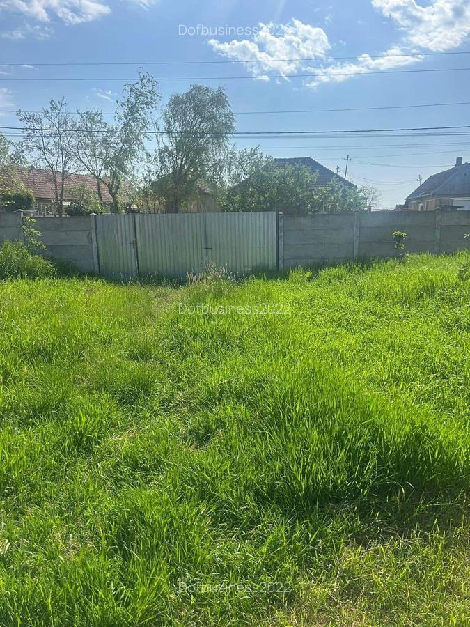 Teren intravilan 3025 mp, cu utilități, Bicaci, Bihor. - 3