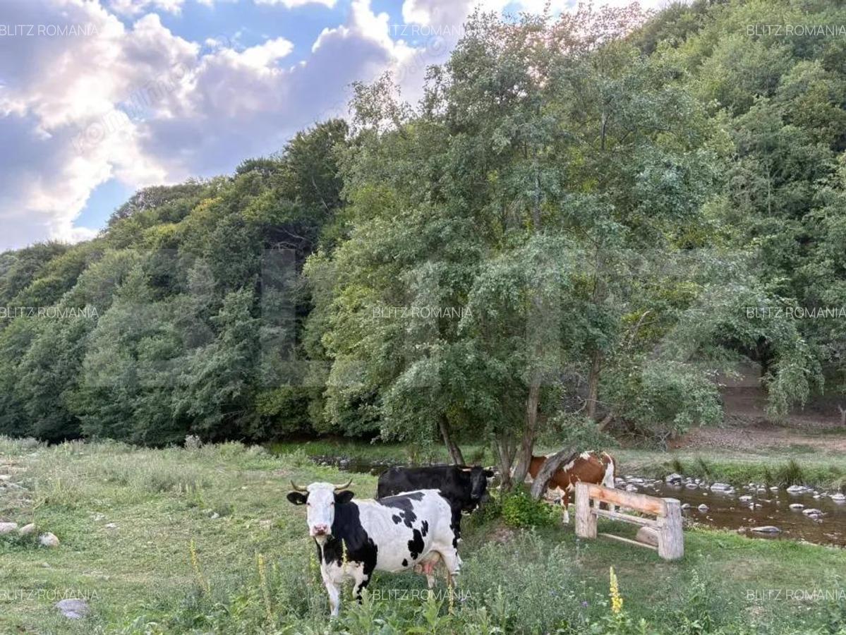 Cabana Valea Draganului 70 km de Cluj, 5 dormitoare, izvor in curte - 14