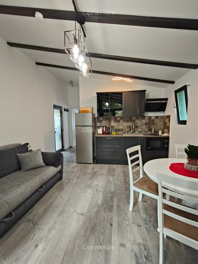 Vila noua de inchiriat in Busteni - 6