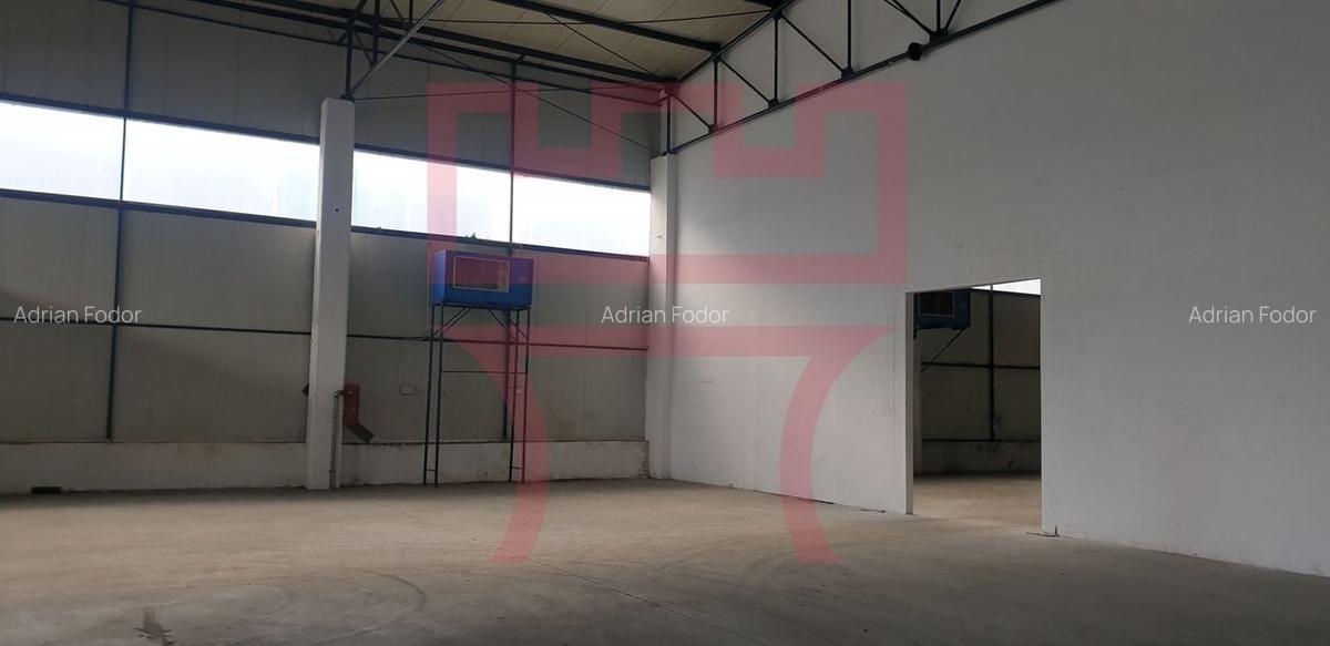 Hala spatiu industrial depozitare productie showroom cu birouri - 2