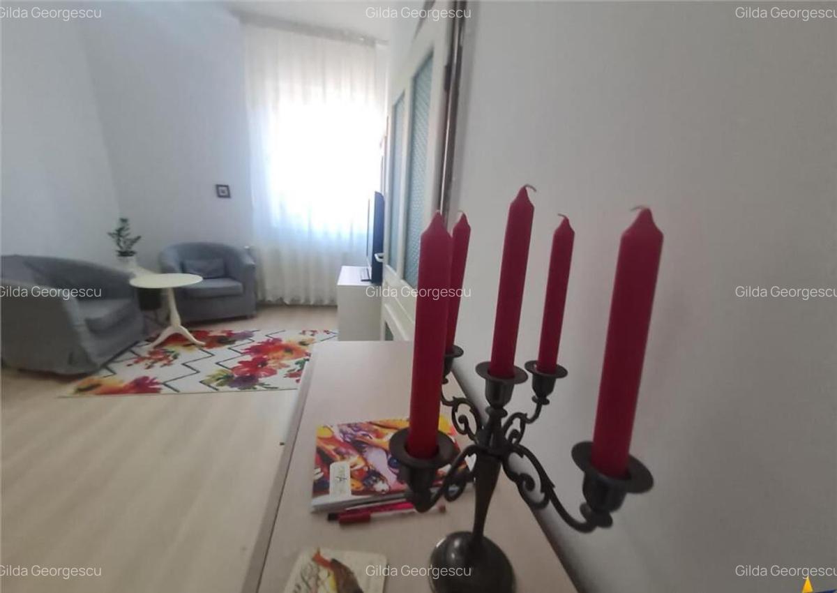Armonie intre rustic si modern, complet renovat, zona Centra - 29