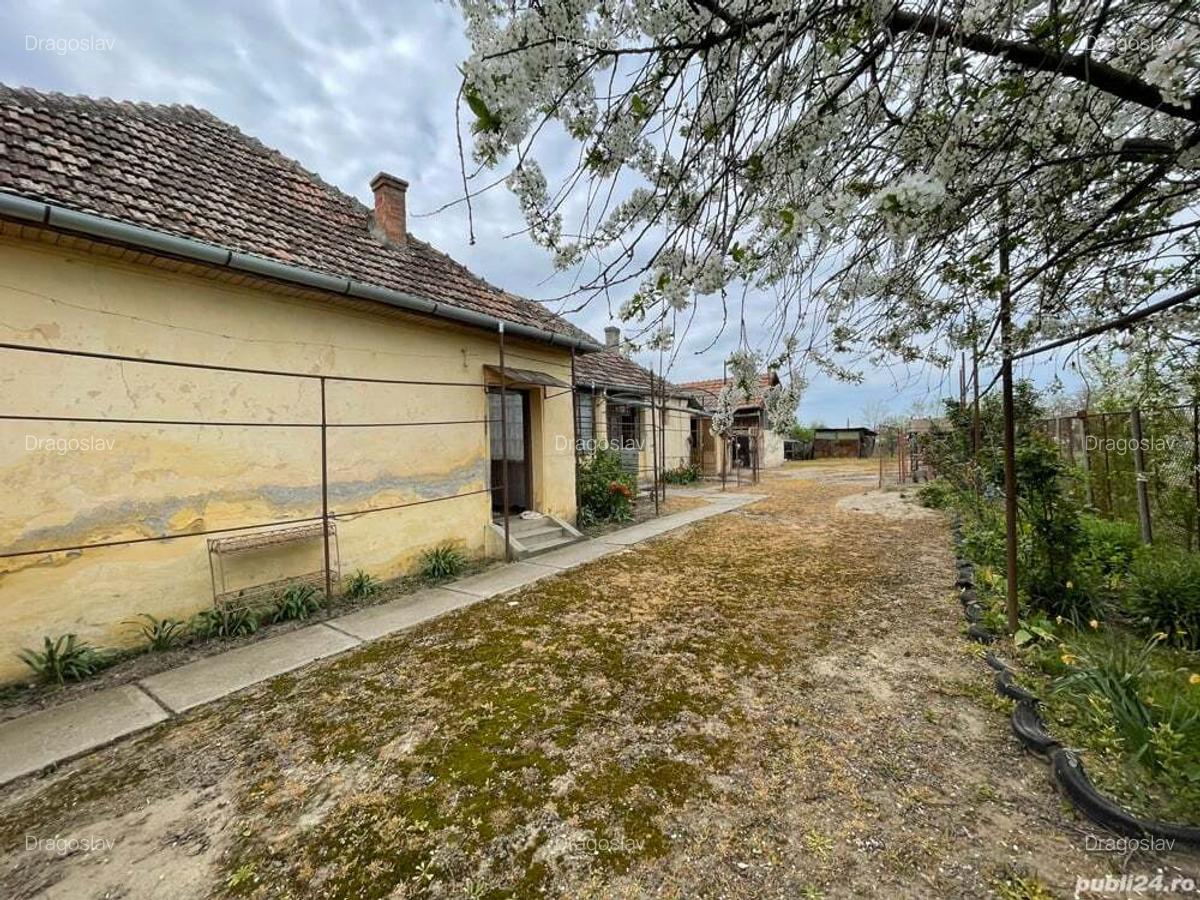 Vand casa in Judetul Arad - 8