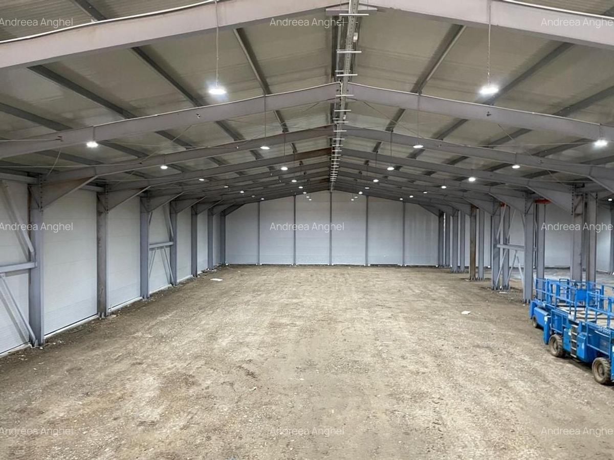Hala industrială de vânzare – Balotești / Oportunitate Investitie - 5