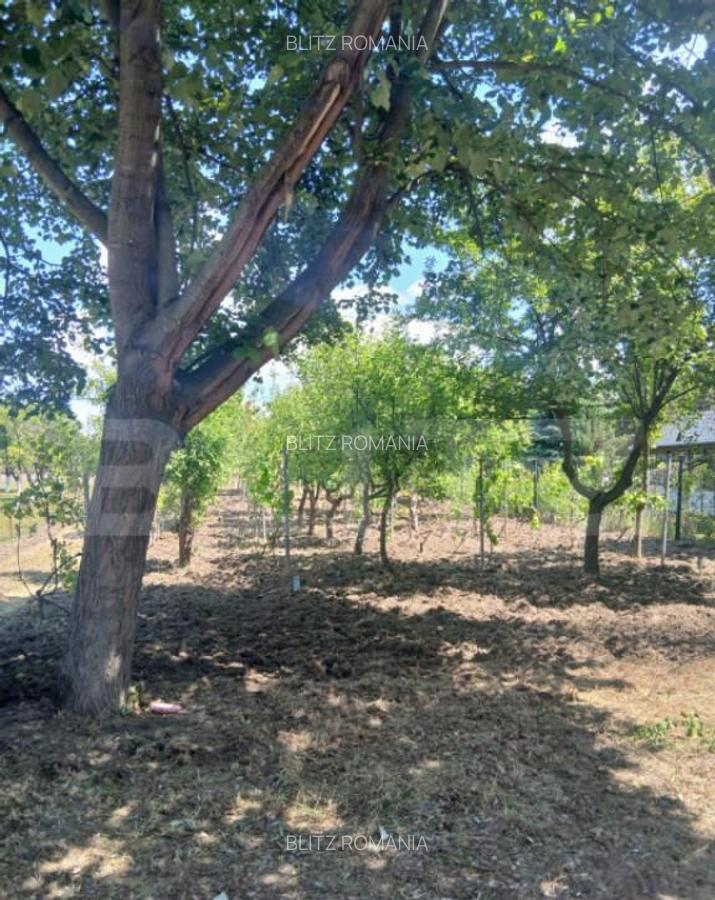 Casa de vanzare 800 mp curte, 32 mp utili, zona Exterior Sud - 1