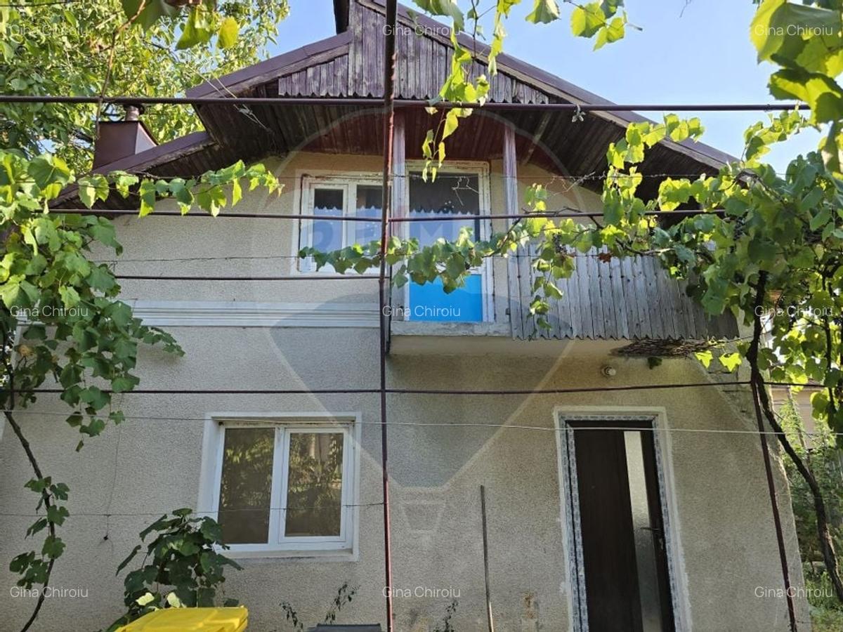 Casa noua + casa veche boiereasca renovabila - 5