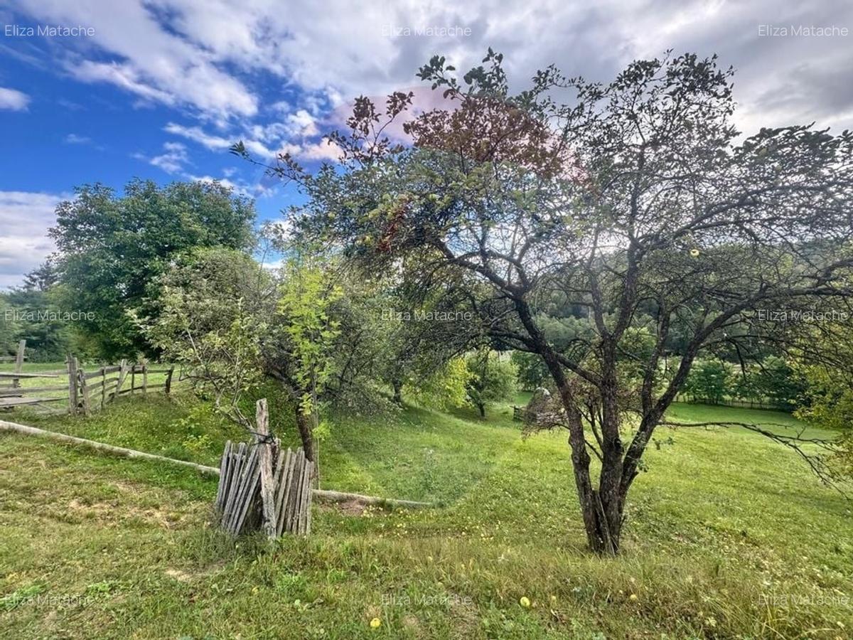 O oportunitate unica in inima naturii -- 6.605 mp in Candesti - 8