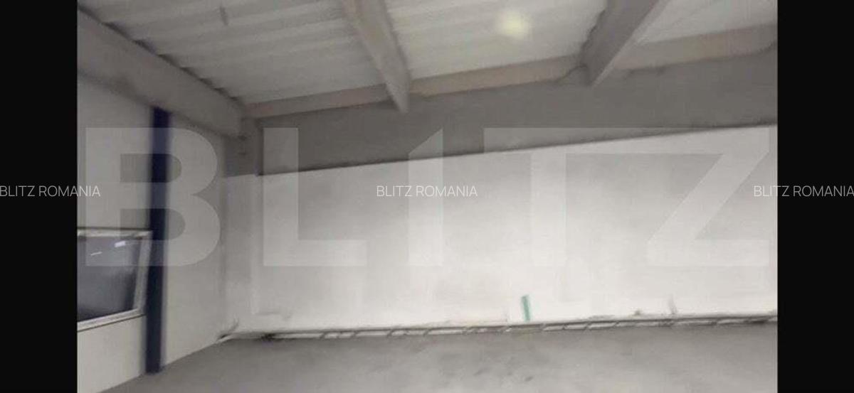 Spatiu comercial, 160 mp utili, zona Carolina Mall-Ampoi - 4