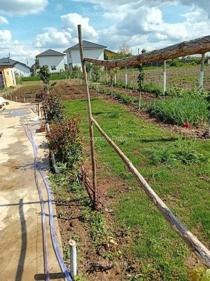 Teren +casa de vacanta - 1 Teren +casa de vacanta - 1