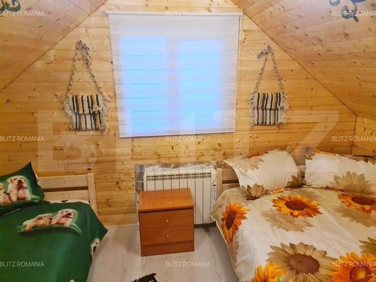 EXCLUSIV BLITZ !  Cabana in statiunea Muntele Baisorii - 13