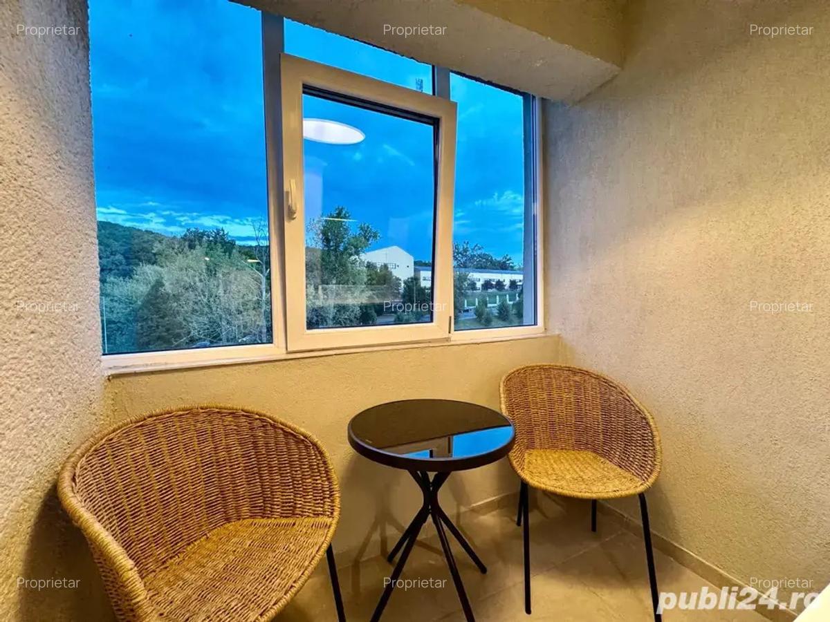 Apartament 1 camera Cornisa UMFST - 2
