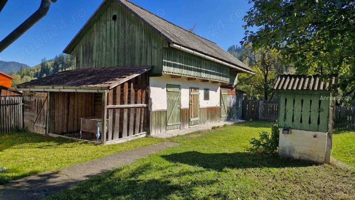 Casa cu teren 3000m2 intravilan - 8