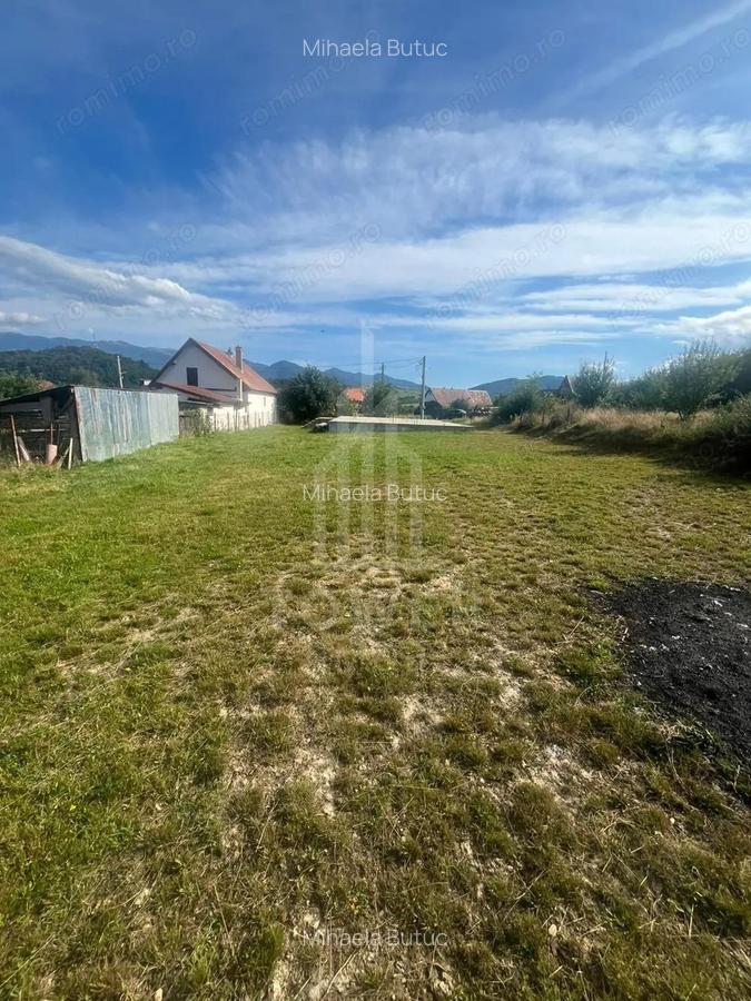 Teren de vanzare in exclusivitate Talmaciu - 4