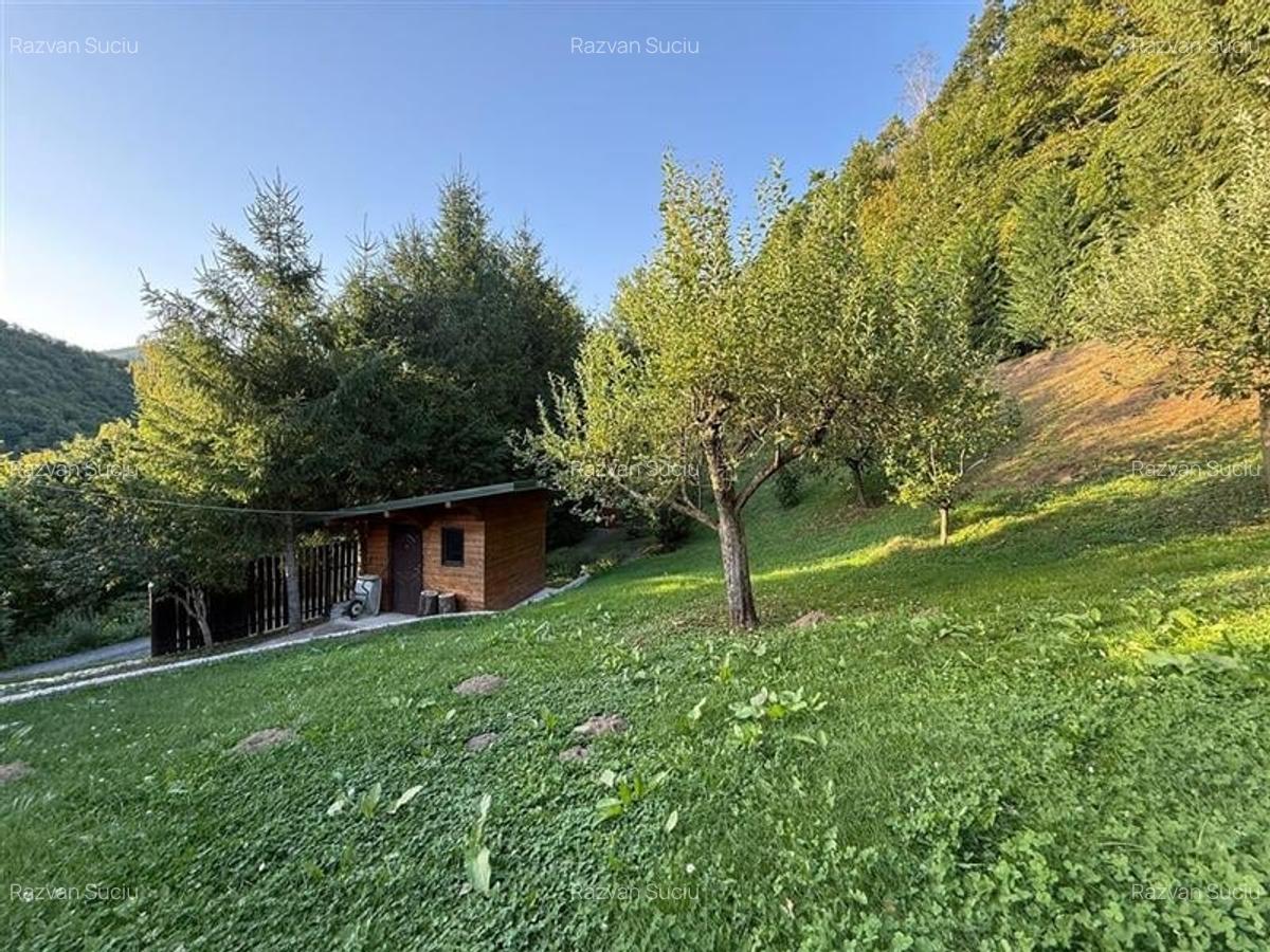 Cabana - Casa de vacanta situata in Muntele Rece! - 7