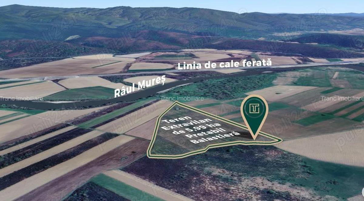 Teren extravilan de 5,99 ha la 200 m de Mure?, ideal pentru balastiera in Ususau - 3