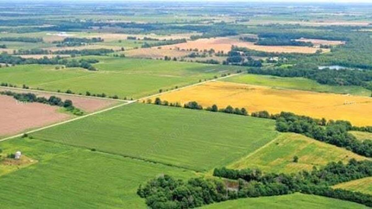 Teren agricol Sanandrei, Carani, Hodoni intre 20-30 Ha compact - 1