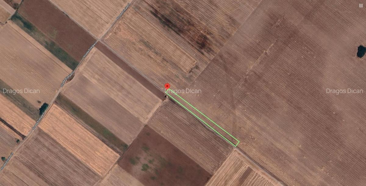 Teren Extravilan In Rate Primaverii Com. Berceni | 2670mp | #EG52 - 1