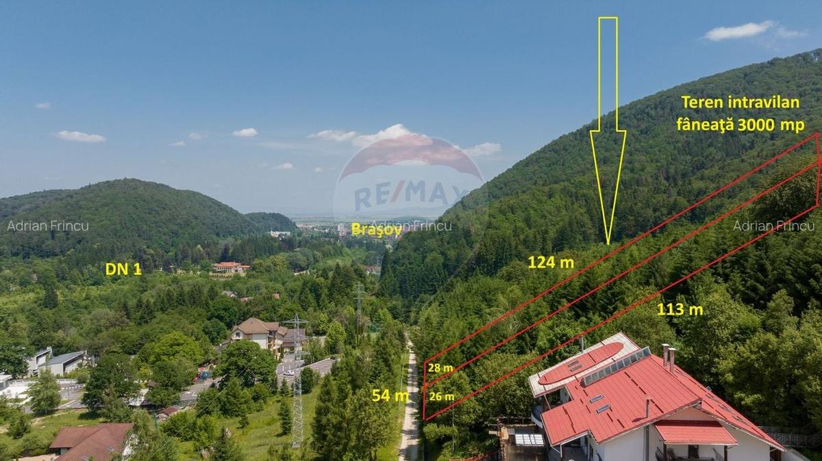 Teren intravilan, 3000 mp, Dambu Morii - 7