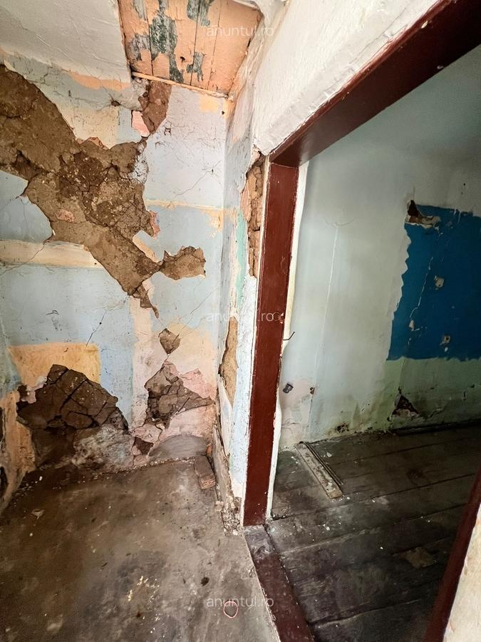 Rahova, Alexandriei, casa si teren 170 mp, singur curte - 12
