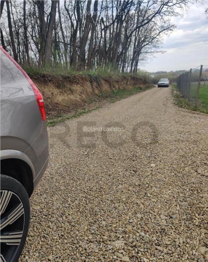 RECO . TEREN INTRAVILAN PALEU - 9