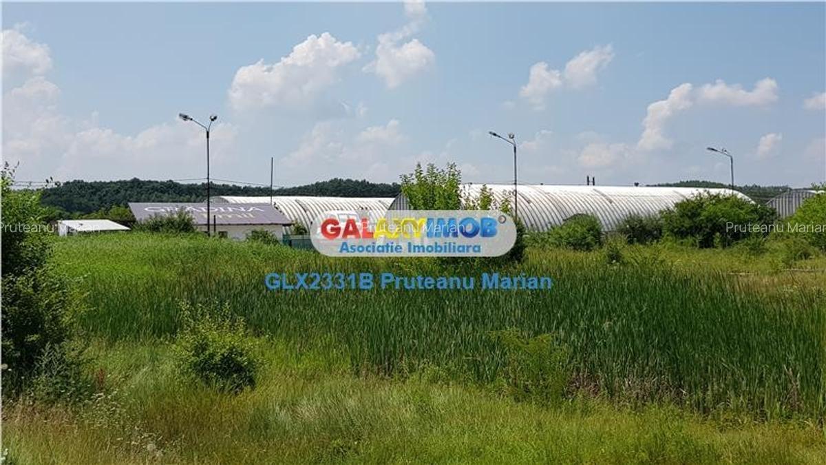 Vanzare lot teren de 8300 mp foarte aproape de Therme Balotesti-Otopen - 4