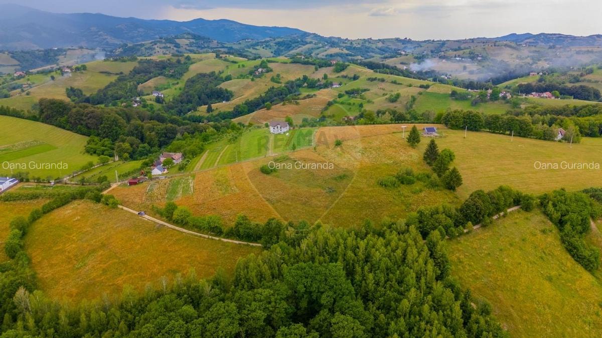Teren Construcții intravilan de 11600 mp, în Poiana Mărului - 5