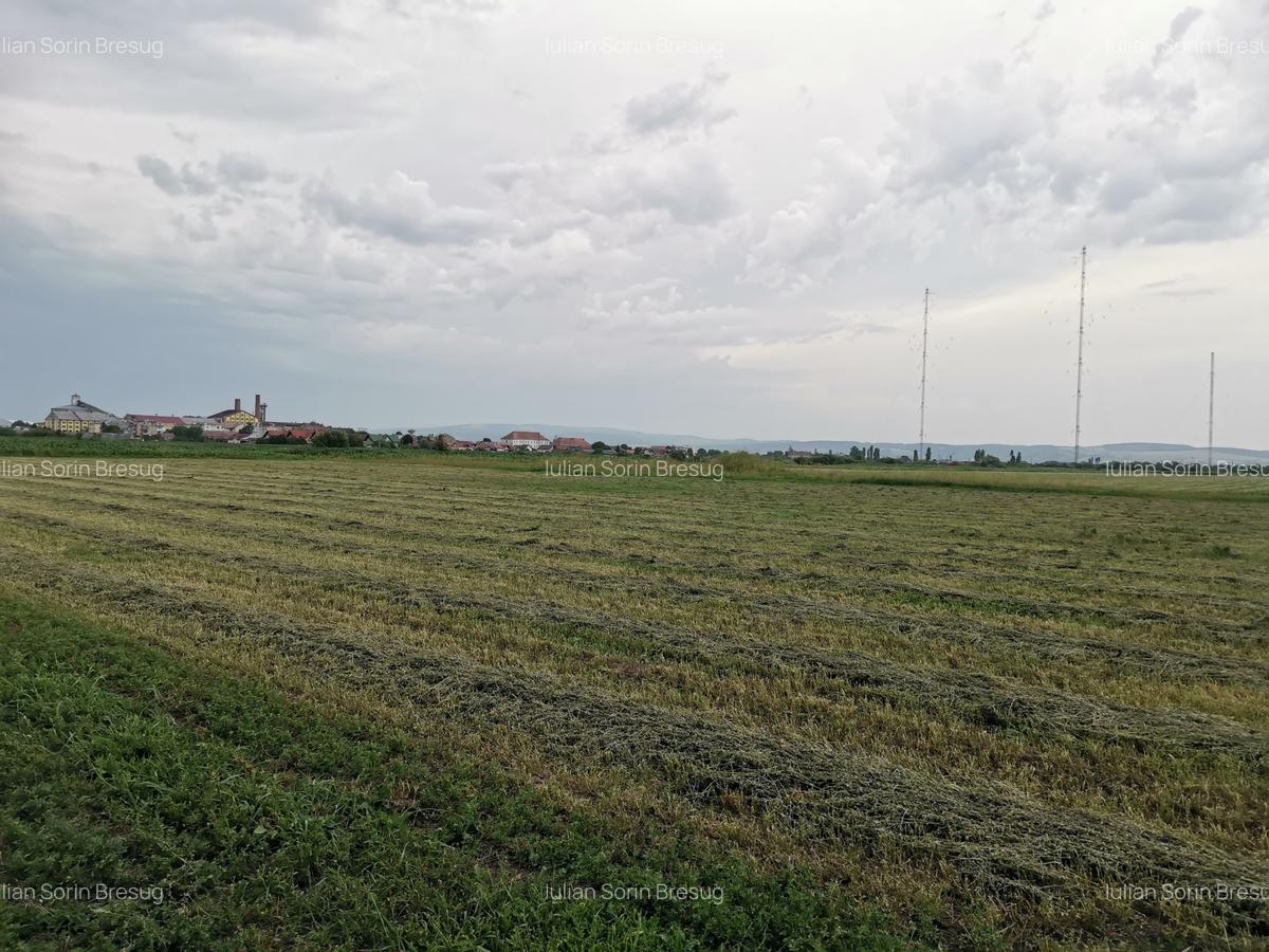 Teren agricol in zona Bod - 3