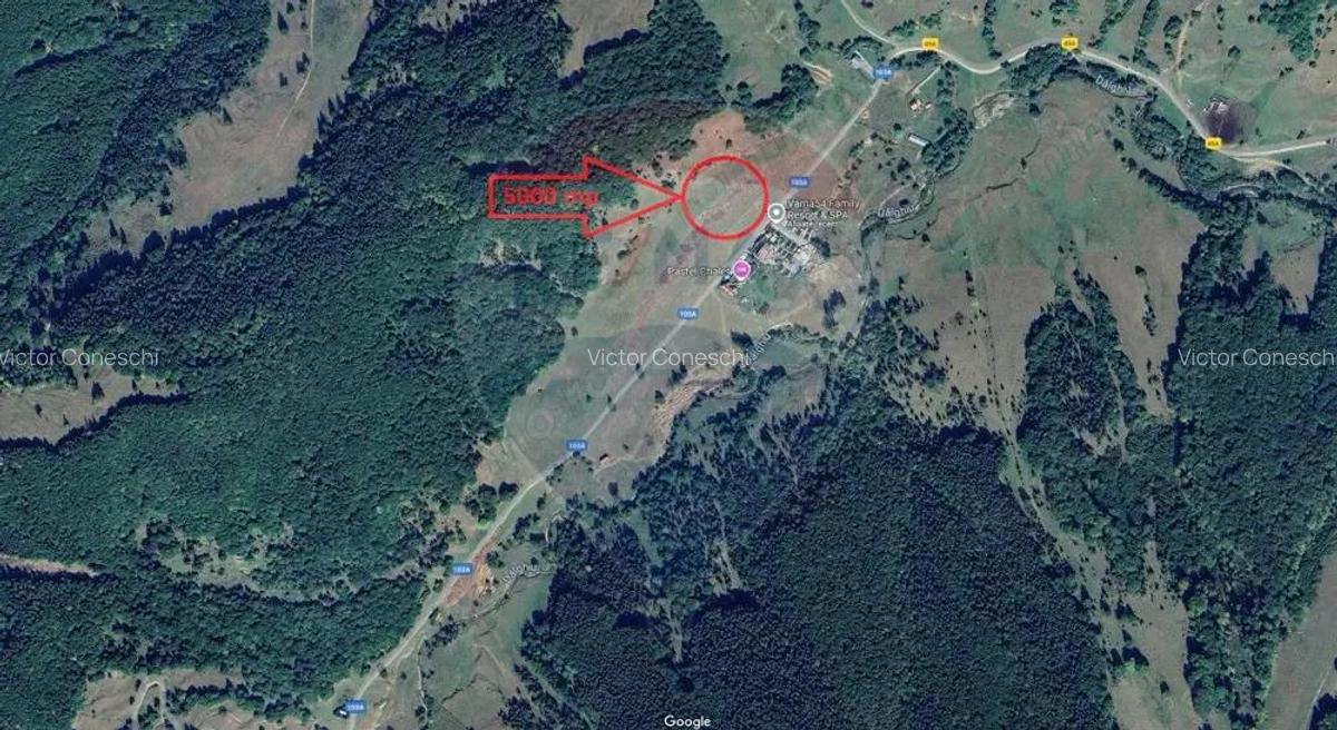 OPORTUNITATE! Teren 5,000 mp Vama Buzaului / Drumul DJ103A - 2