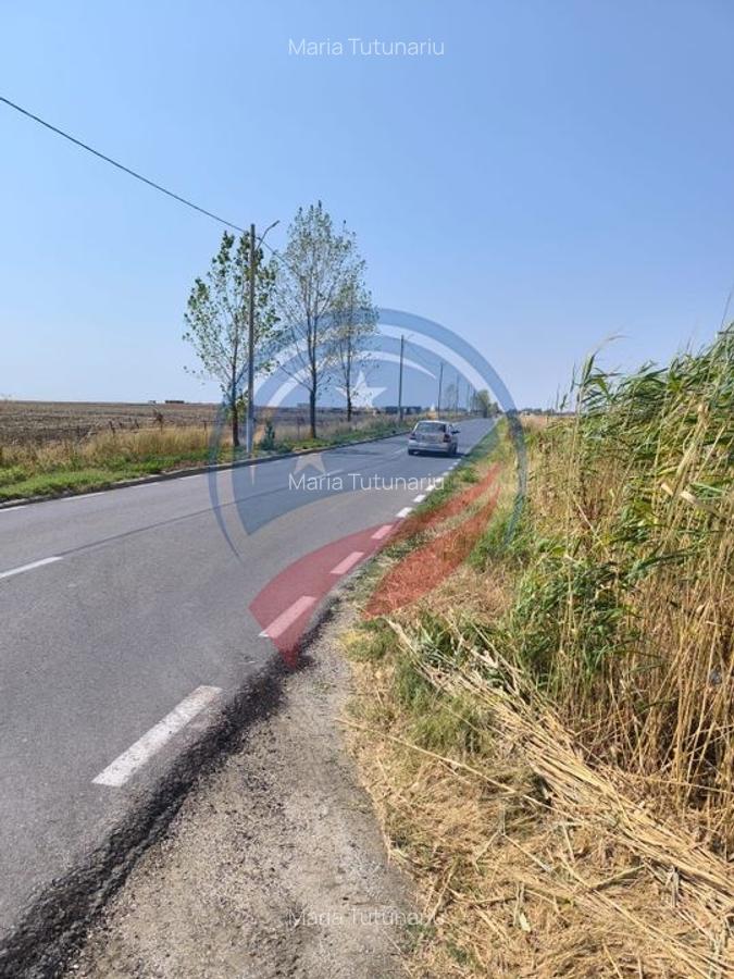 Teren intravilan de vanzare in Pielesti - 9