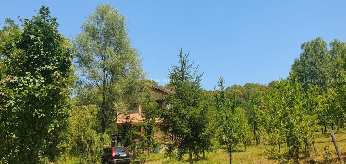 Zona Slanic Prahova,in mijlocul naturii - 10
