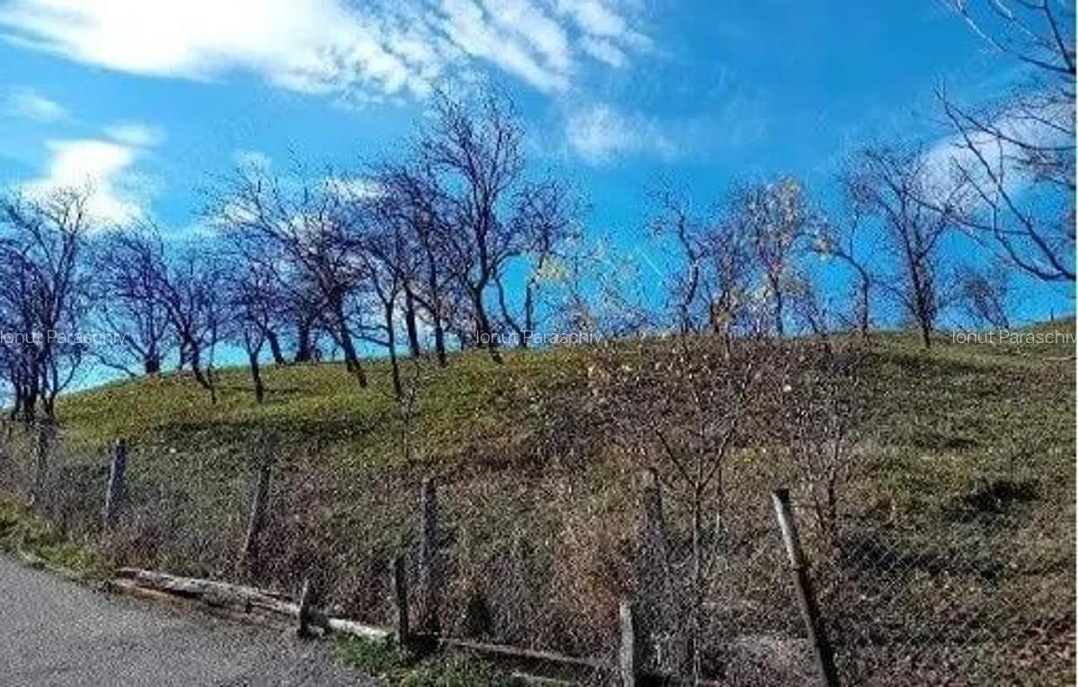 Teren cota parte 1/2, Sat Vistieru, ID: R2809860 - 1