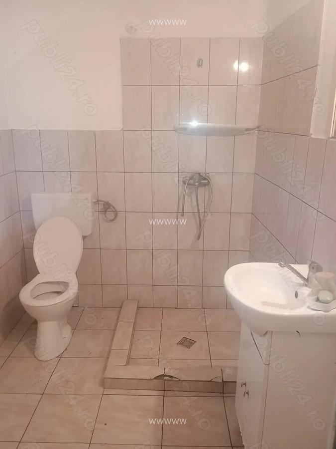 Casa ,anexe ,teren , sat Micanesti,comuna Zam, judetul Hunedoara - 9