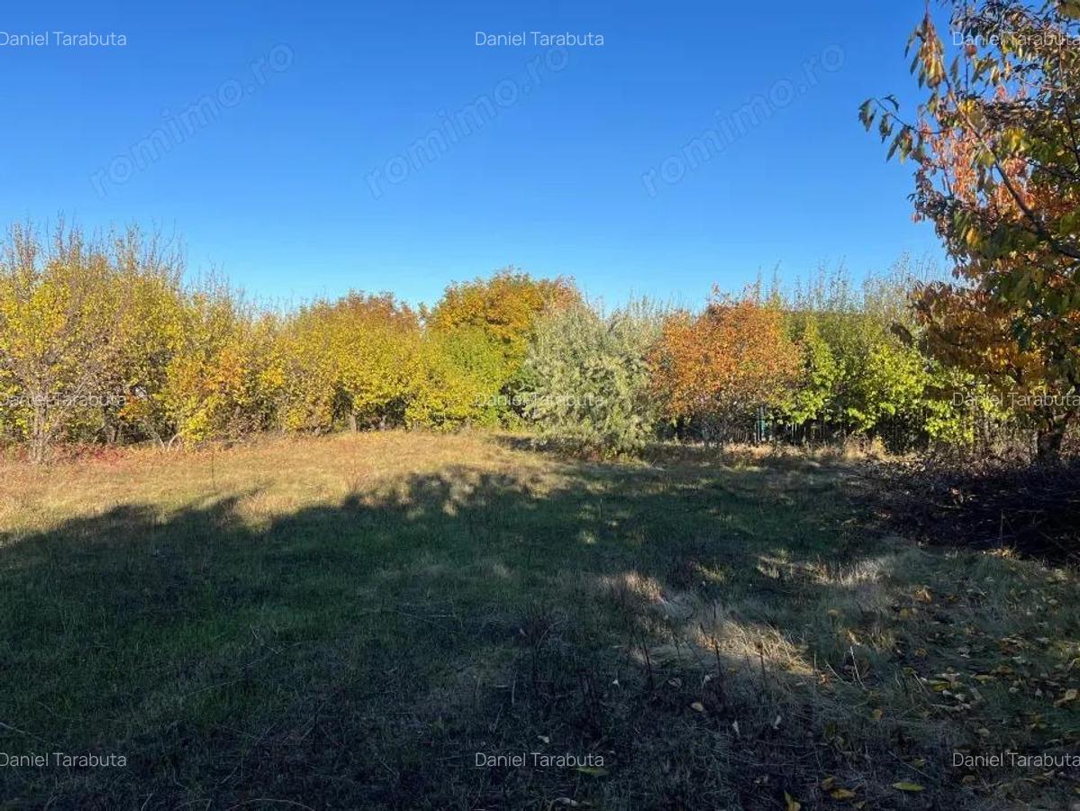 Teren constructie 800mp Rediu Horlesti - 1