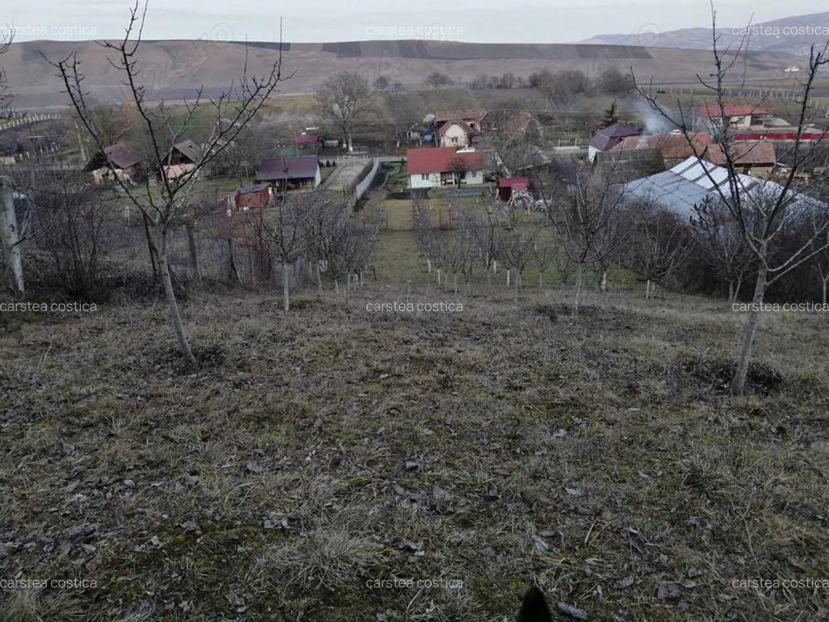 Casa de vanzare in Ora? Ludu?, str. Avrame?ti - 5