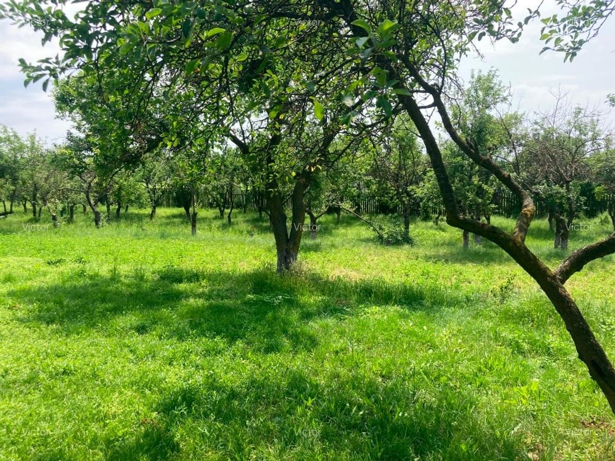 Vând teren intravilan cu casă locuibilă, Butimanu, Dâmbovița – 3.900 m² - 3