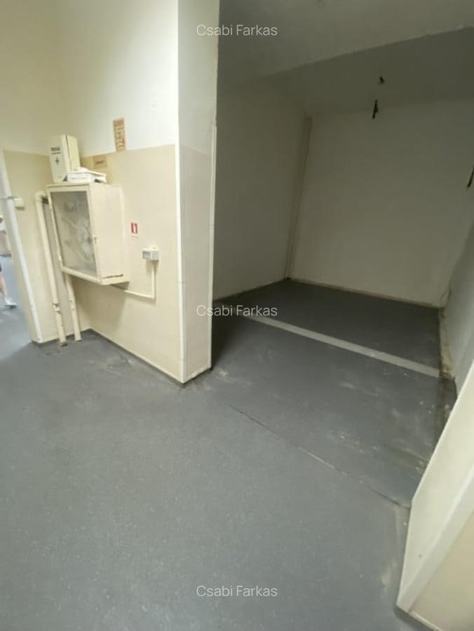 Spatiu comercial, 286mp, zona Calvaria - 3