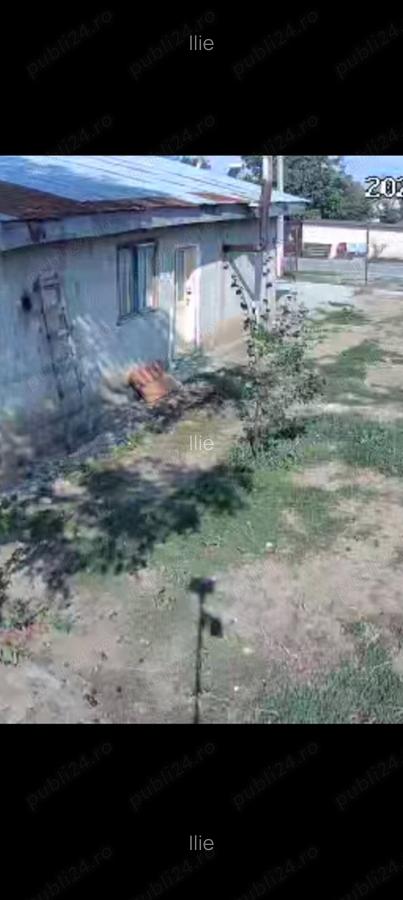 Casa de vanzare Baneasa - 5
