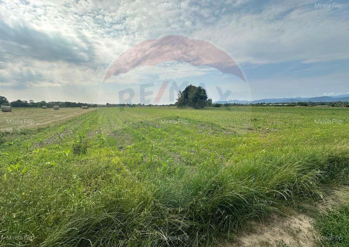 DE VANZARE- Teren INTRAVILAN in Coltau - 3