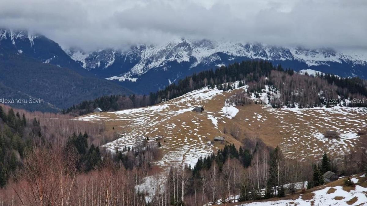 Pensiune de vanzare Moieciu de Jos - 1