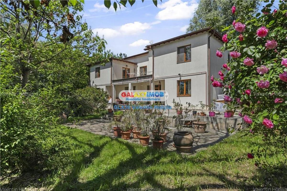 Vanzare vila Lacul TEI  PETRICANI INSULA  LAC 1900 MP TEREN - 1