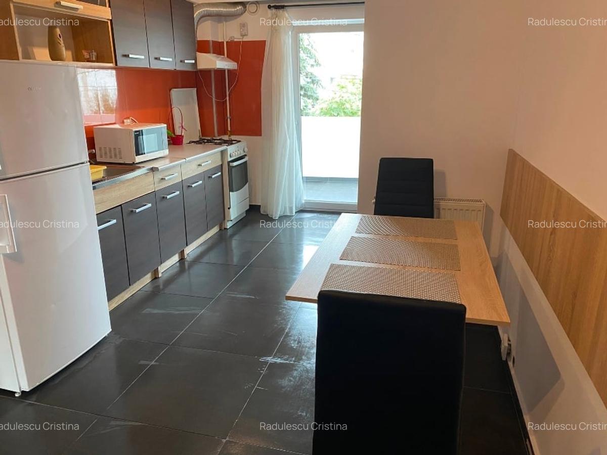 Inchirez apartament 2 camere in Cipariu - 12