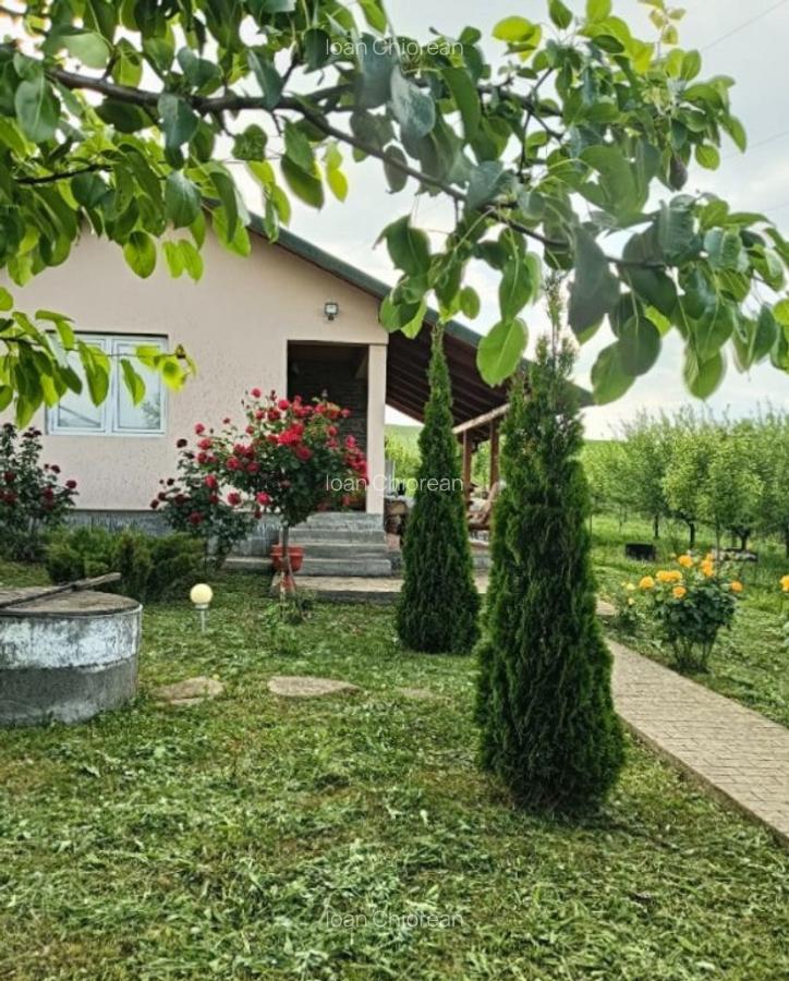 Casa de vacan?a in Ludu?, zona Candarai intre Cluj ?i Tg-Mure? - 1