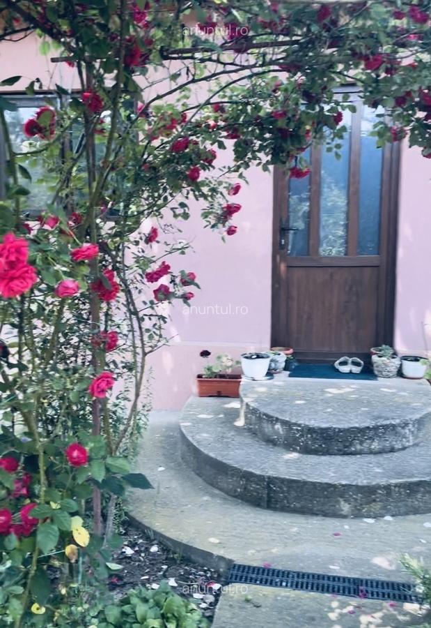 Comuna Marzanesti, sat Valea Parului, str Lalelelor, Teleorman - 2