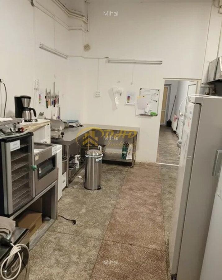 Spatiu comercial de inchiriat in zona Tudor Vladimirescu - 12