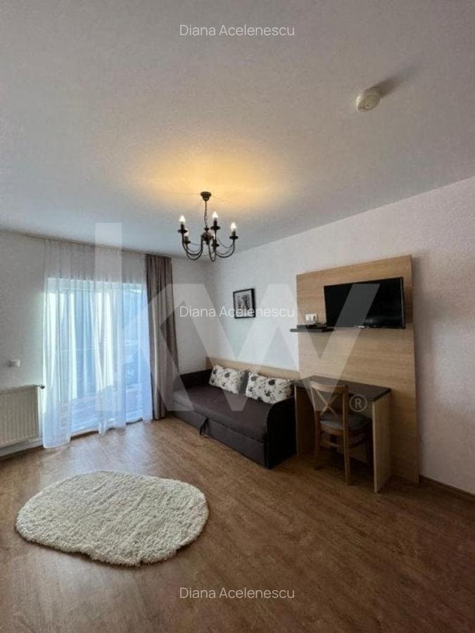 Vila cu 8 camere de vanzare - Arena Platos Paltinis - 14