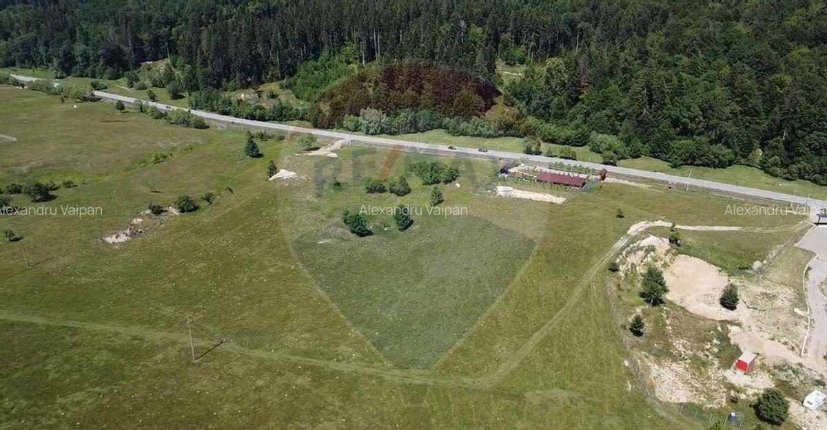 Teren 5,561mp Paltinoasa / Strada principala - 18