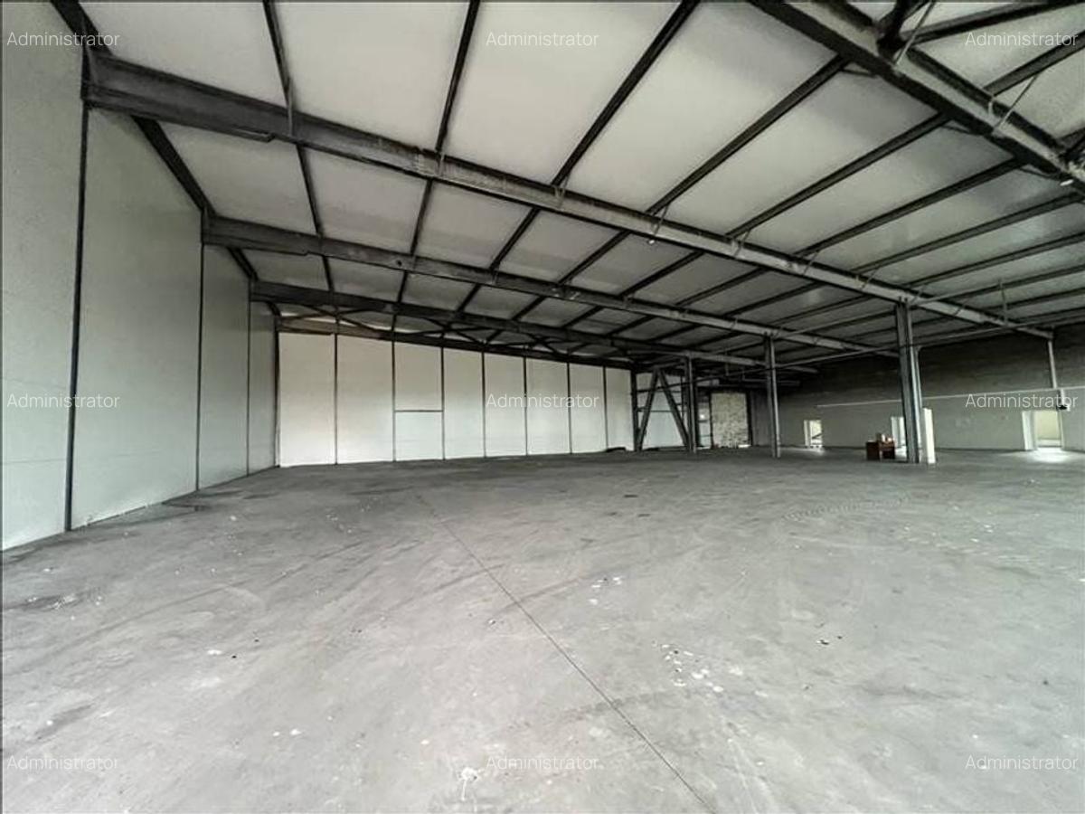 Spațiu industrial, 1310 mp în Mehala - 2