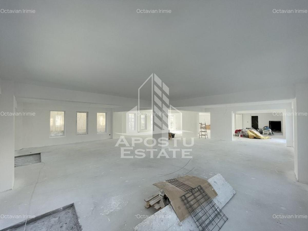 Spațiu comercial, 238 mp în Lipovei - 2