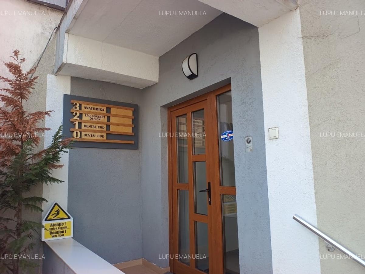 Proprietar vand doua vile in zona Calea Plevnei - 4