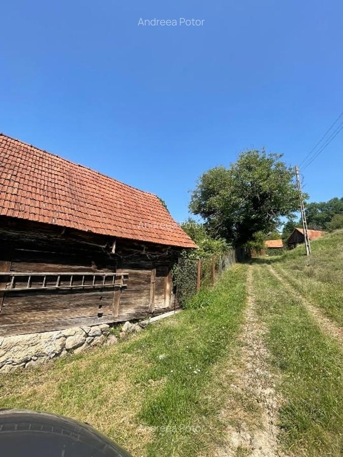 Casă la țară jud Hunedoara - 3