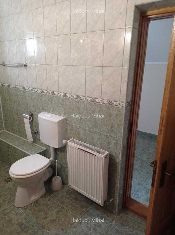 Casa / vila Gavana 3  , mobilata / utilata , finisaje clasice ! - 14